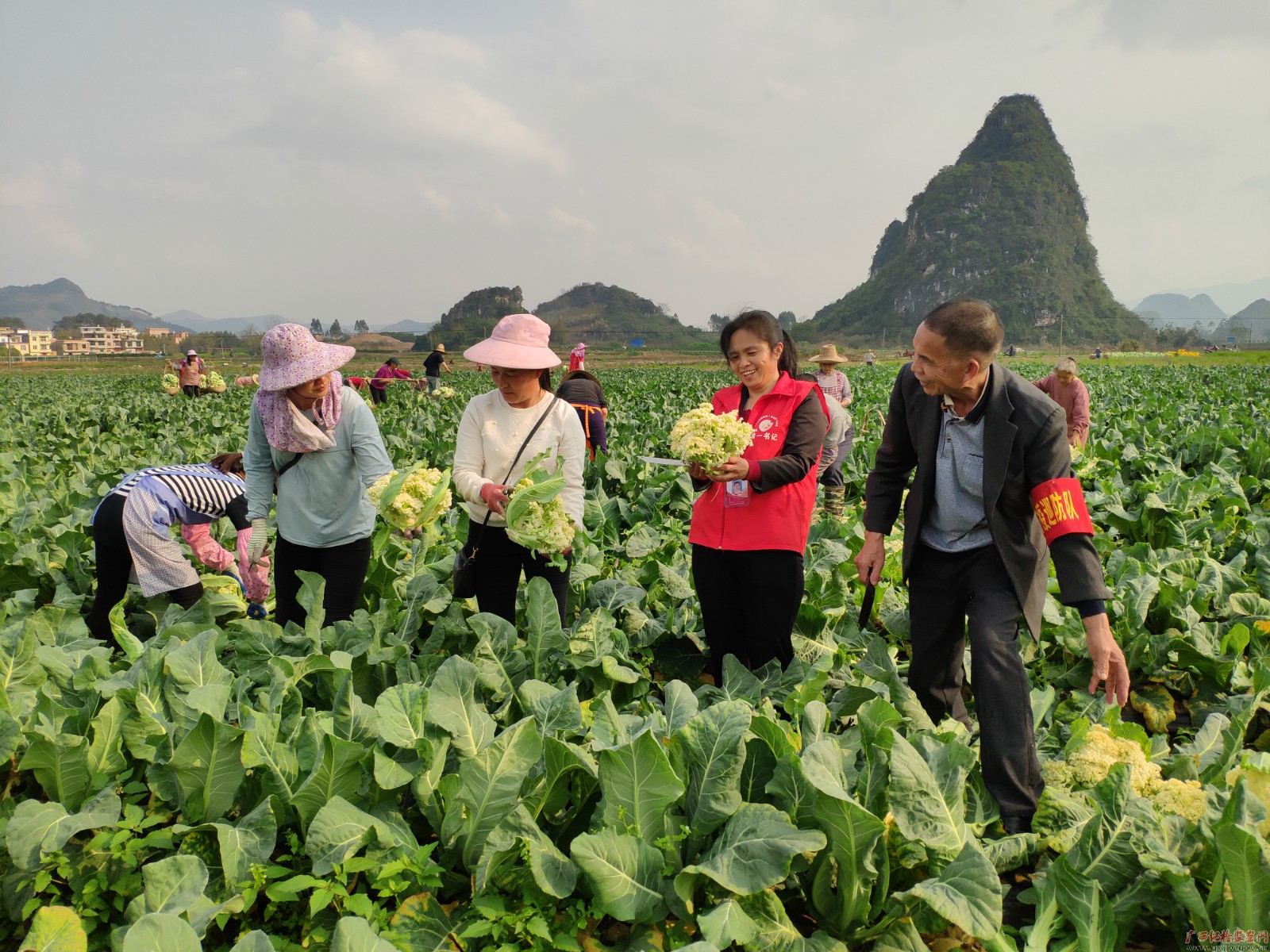 脱贫攻坚战场上的铿锵玫瑰——记全国脱贫攻坚先进个人、平乐县张家镇老埠村第一书记唐莉